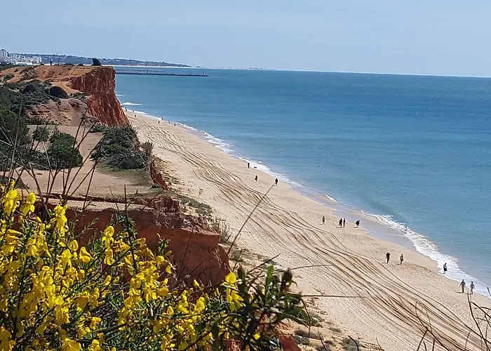 Albufeira, Cerro Branco